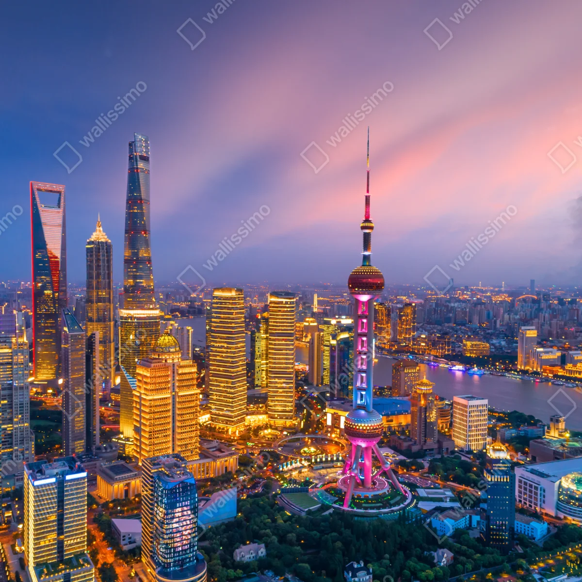 Leinwandbild Shanghai nächtliche skyline Leinwandbild Shanghai nächtliche skyline