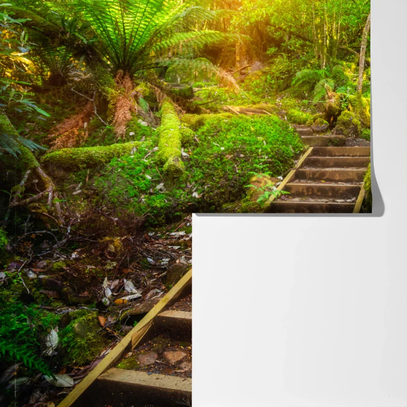 Fototapete moosiger regenwaldpfad auf der Tasman-Halbinsel Fototapete moosiger regenwaldpfad auf der Tasman-Halbinsel