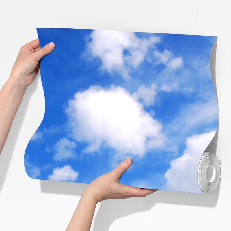 Fototapete sommerlicher grüner wald unter blauem himmel Fototapete sommerlicher grüner wald unter blauem himmel