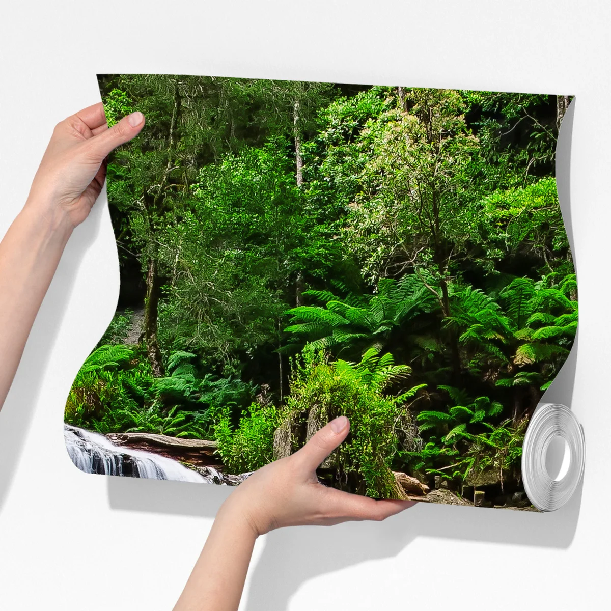 Fototapete wasserfall Liffey Falls im üppigen Regenwald von Tasmanien Fototapete wasserfall Liffey Falls im üppigen Regenwald von Tasmanien