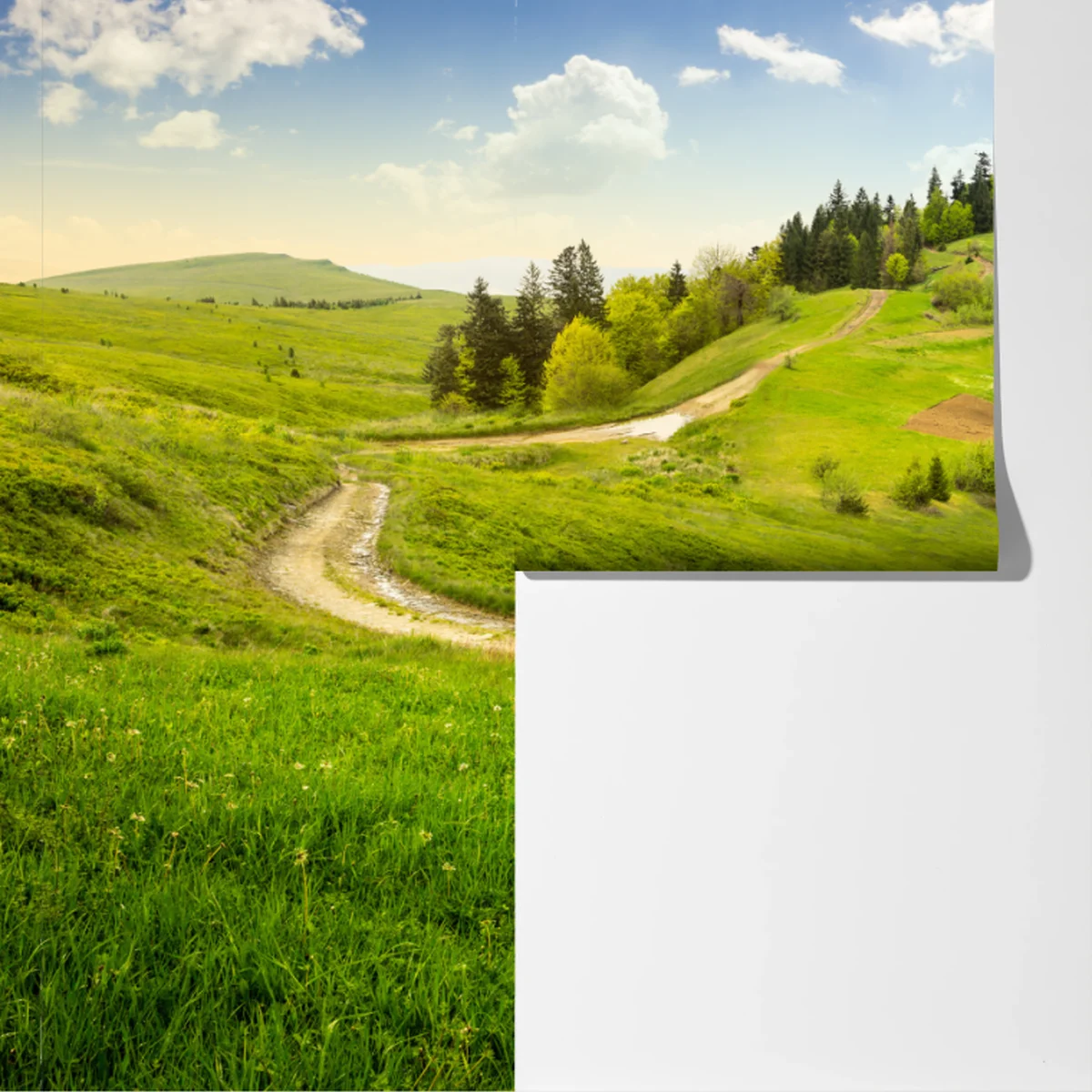 Fototapete gewundener feldweg durch grüne hügel Fototapete gewundener feldweg durch grüne hügel