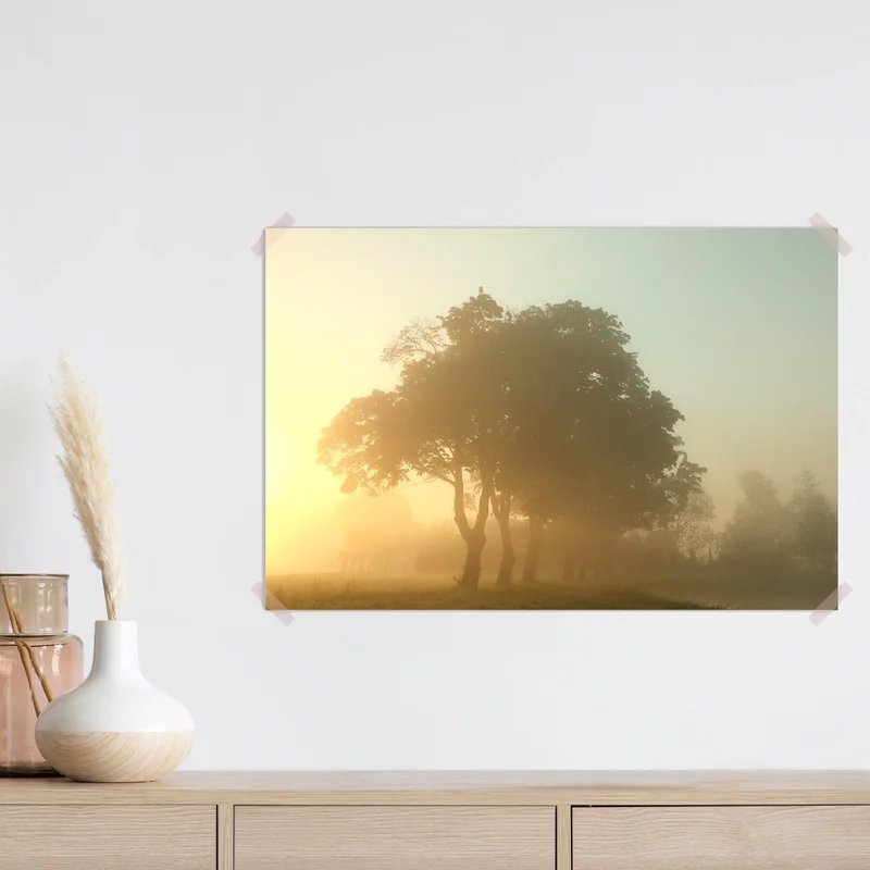 Poster Ahornbäume umgeben vom Morgennebel • Poster bei Wallnifity® Poster Ahornbäume umgeben vom Morgennebel • Poster bei Wallnifity®