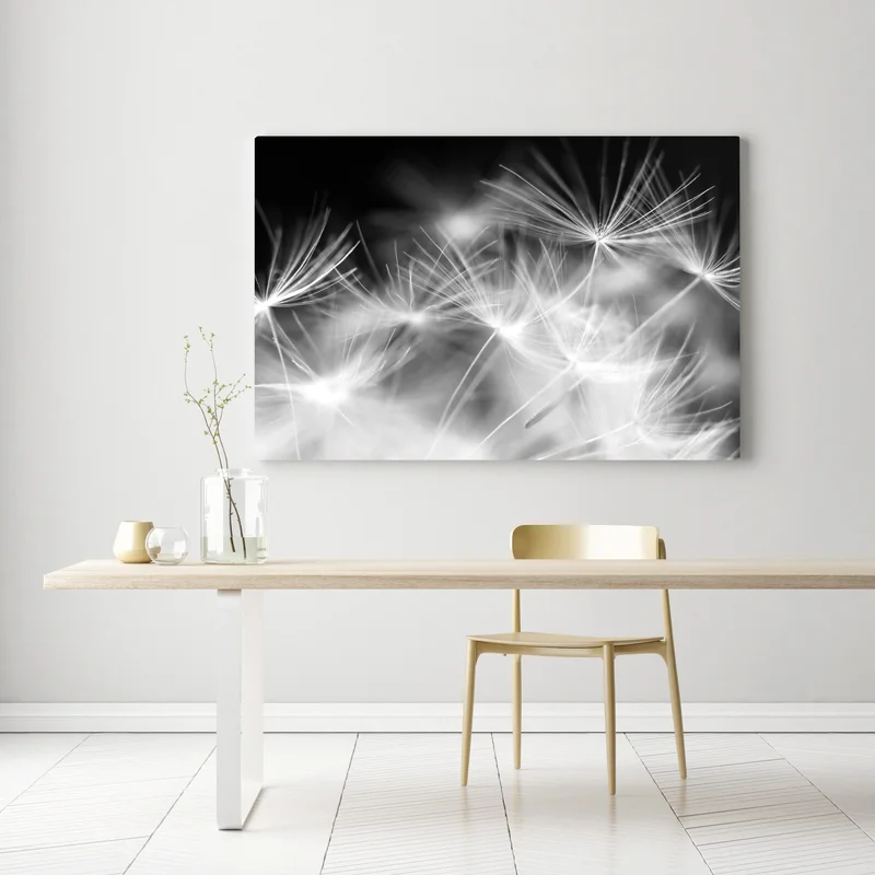 Leinwandbild zarte löwenzahnsamen in monochrom Leinwandbild zarte löwenzahnsamen in monochrom