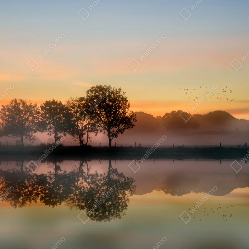 Tischaufkleber und Schreibtischaufkleber nebliger herbstlicher sonnenaufgang über Englischer landschaft • Tischaufkleber bei Wallnifity® Tischaufkleber und Schreibtischaufkleber nebliger herbstlicher sonnenaufgang über Englischer landschaft • Tischaufkleber bei Wallnifity®