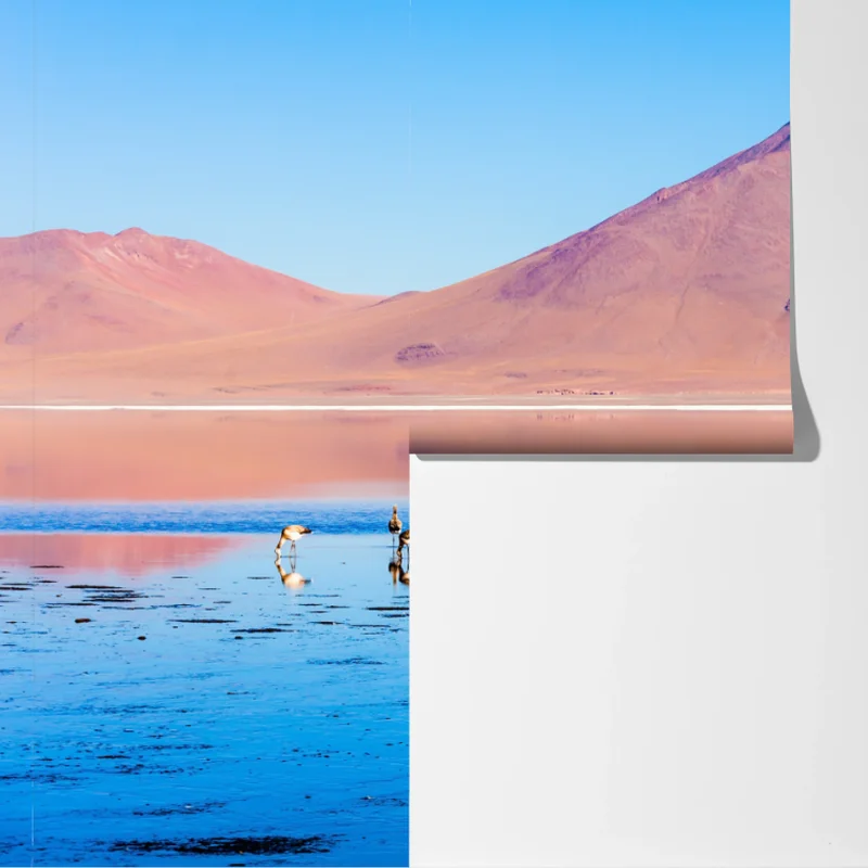 Fototapete flamingos am Laguna Colorada, Bolivien Fototapete flamingos am Laguna Colorada, Bolivien