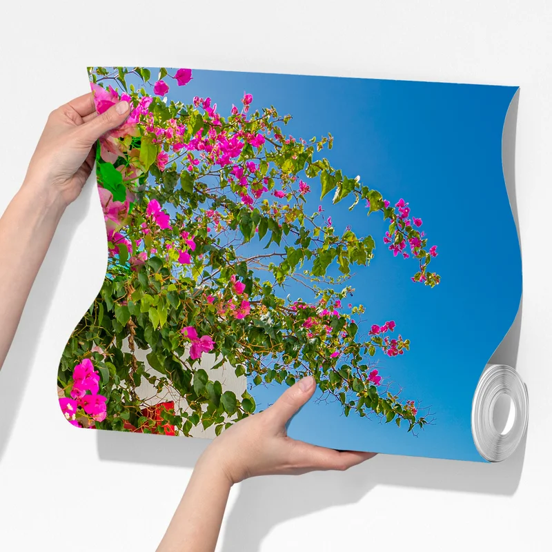 Fototapeta słoneczny taras śródziemnomorski z widokiem na morze Fototapeta słoneczny taras śródziemnomorski z widokiem na morze