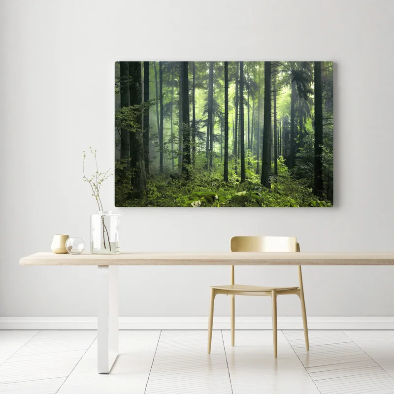 Leinwandbild mystischer grüner frühlingswald Leinwandbild mystischer grüner frühlingswald