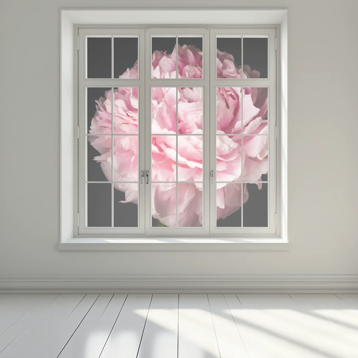 Fensteraufkleber zarte rosa pfingstrose nahaufnahme Fensteraufkleber zarte rosa pfingstrose nahaufnahme