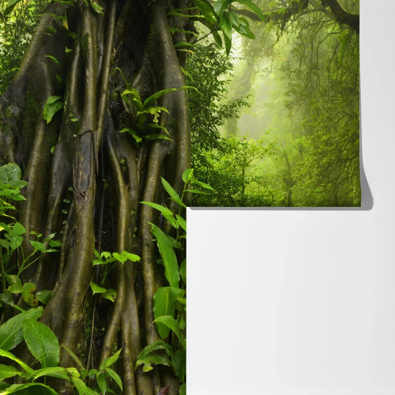 Fototapeta bujna mglista leśna ścieżka Fototapeta bujna mglista leśna ścieżka