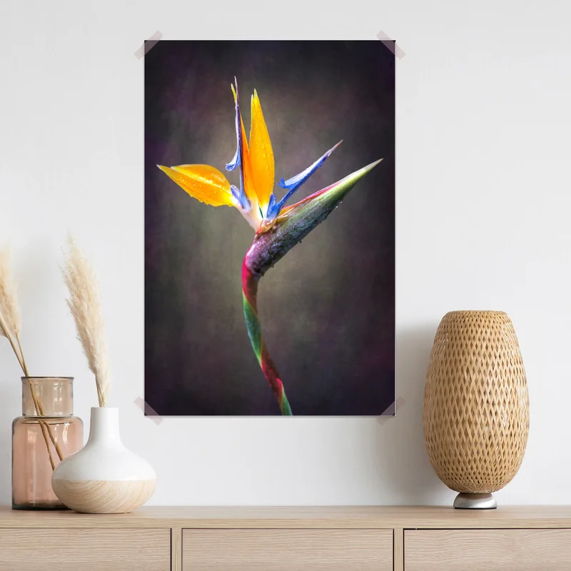 Poster strelitzie in leuchtenden farben Poster strelitzie in leuchtenden farben