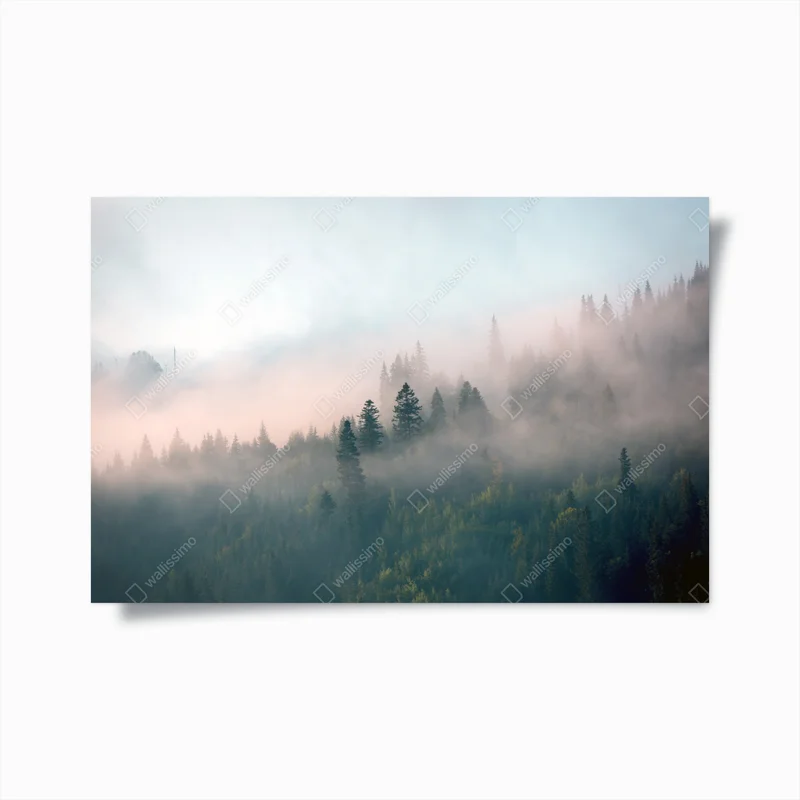 Poster nebliger morgenwald • Poster bei Wallnifity® Poster nebliger morgenwald • Poster bei Wallnifity®