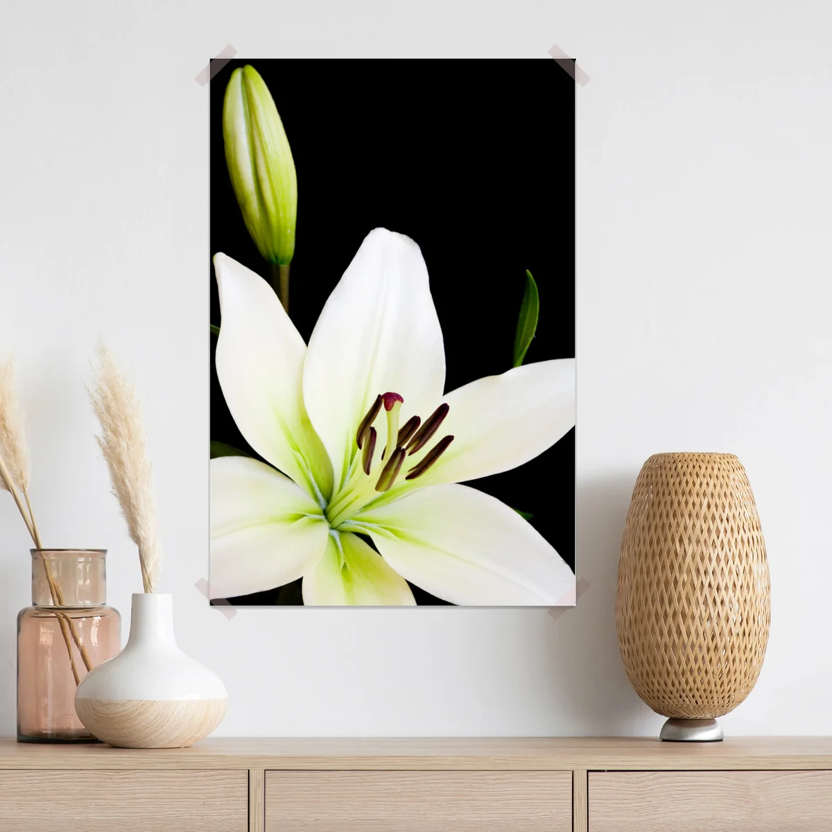 Poster weiße lilie vor schwarzem hintergrund Poster weiße lilie vor schwarzem hintergrund