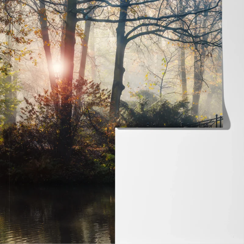 Fototapete neblige herbstbrücke mit schwan Fototapete neblige herbstbrücke mit schwan