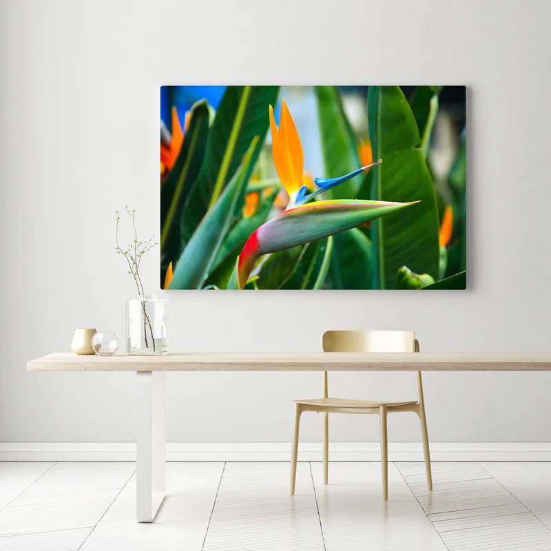 Leinwandbild leuchtende paradiesvogelblume Leinwandbild leuchtende paradiesvogelblume