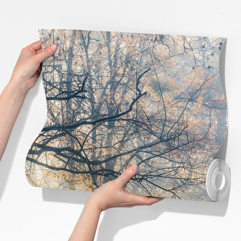 Fototapete neblige herbstbrücke mit schwan Fototapete neblige herbstbrücke mit schwan