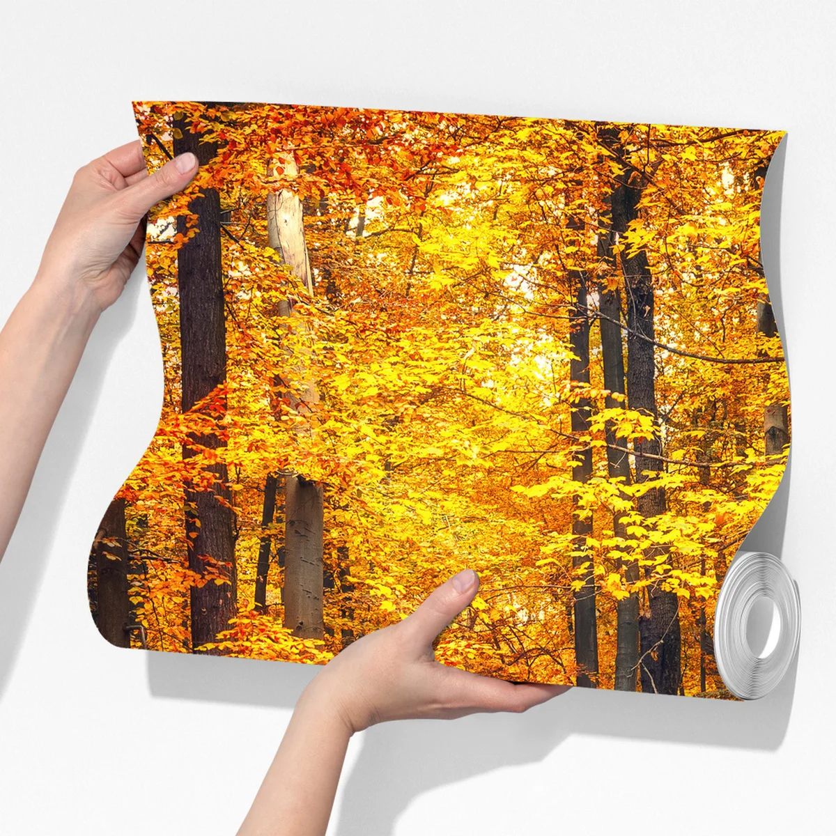 Fototapeta jesienny las ze złotą ścieżką Fototapeta jesienny las ze złotą ścieżką