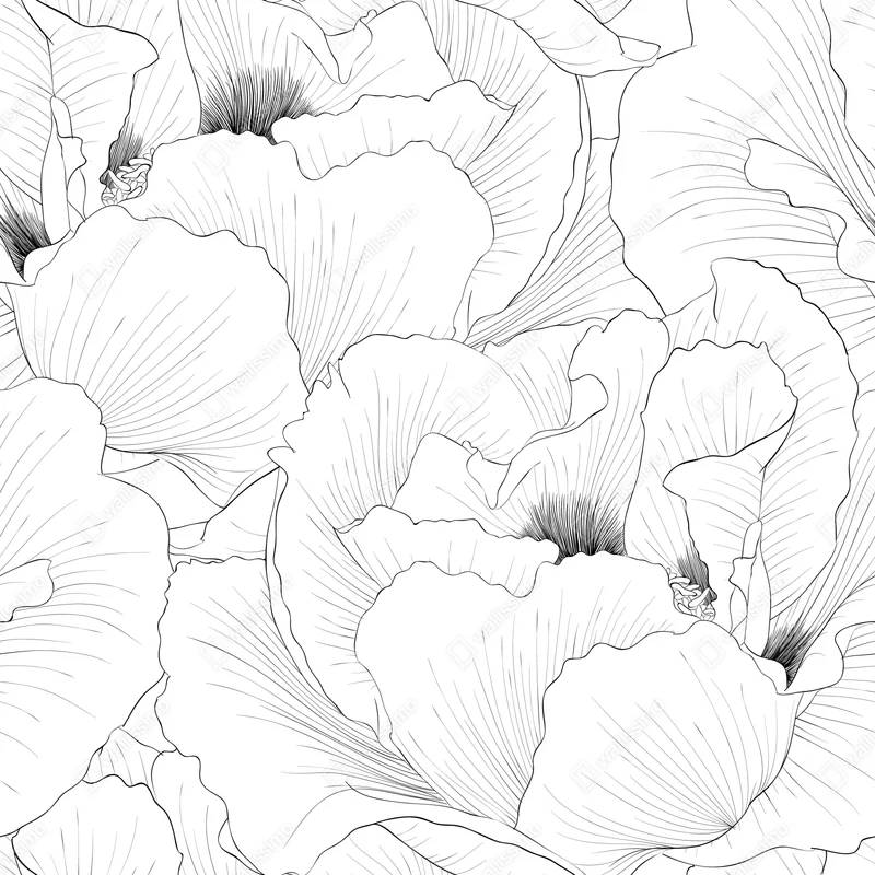 Fototapete feine botanische linienzeichnung mit blumen Fototapete feine botanische linienzeichnung mit blumen