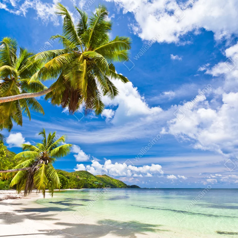 Leinwandbild tropischer strand mit palmen Leinwandbild tropischer strand mit palmen