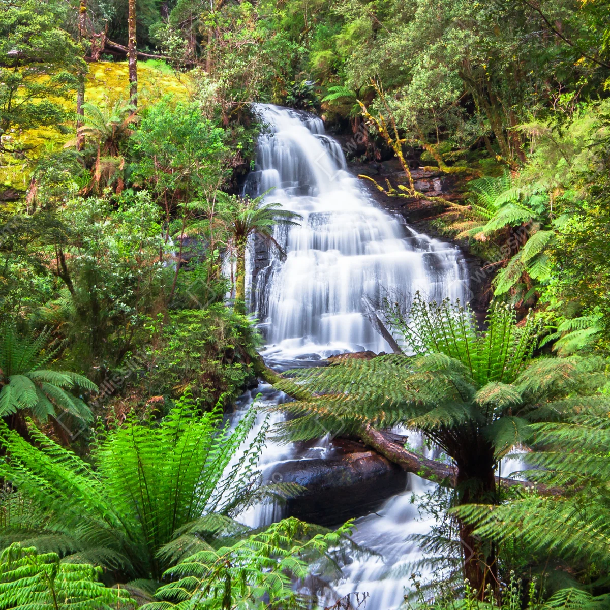 Poster Triplet Falls wasserfall im Great Otway National Park Poster Triplet Falls wasserfall im Great Otway National Park