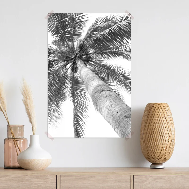 Poster monochrome palme aus der froschperspektive Poster monochrome palme aus der froschperspektive