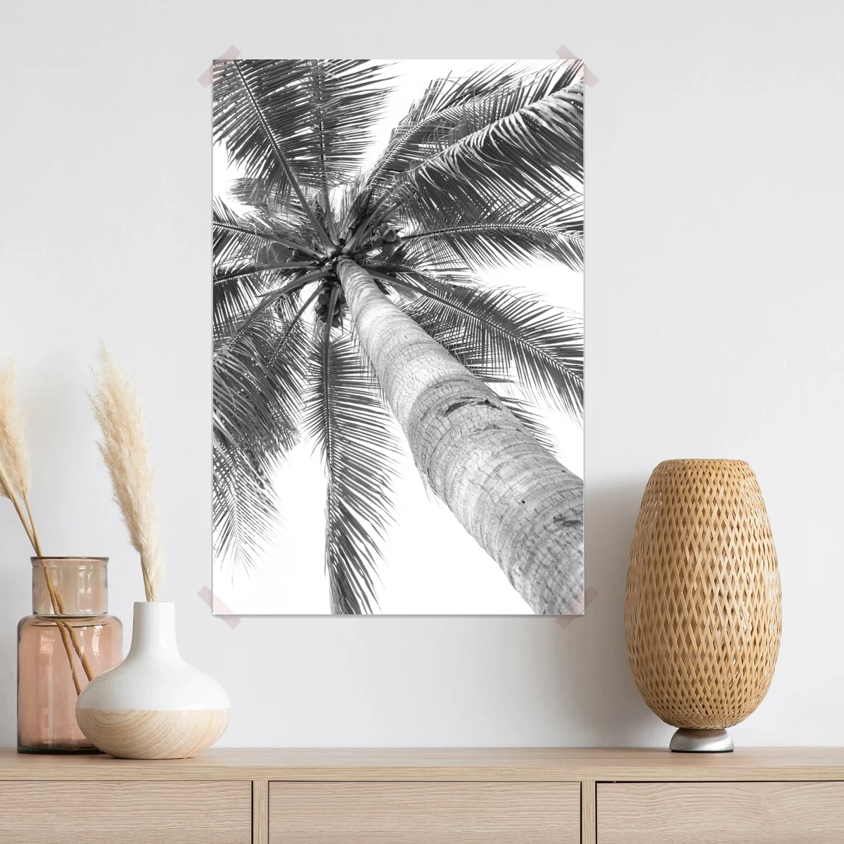 Poster monochrome palme aus der froschperspektive Poster monochrome palme aus der froschperspektive