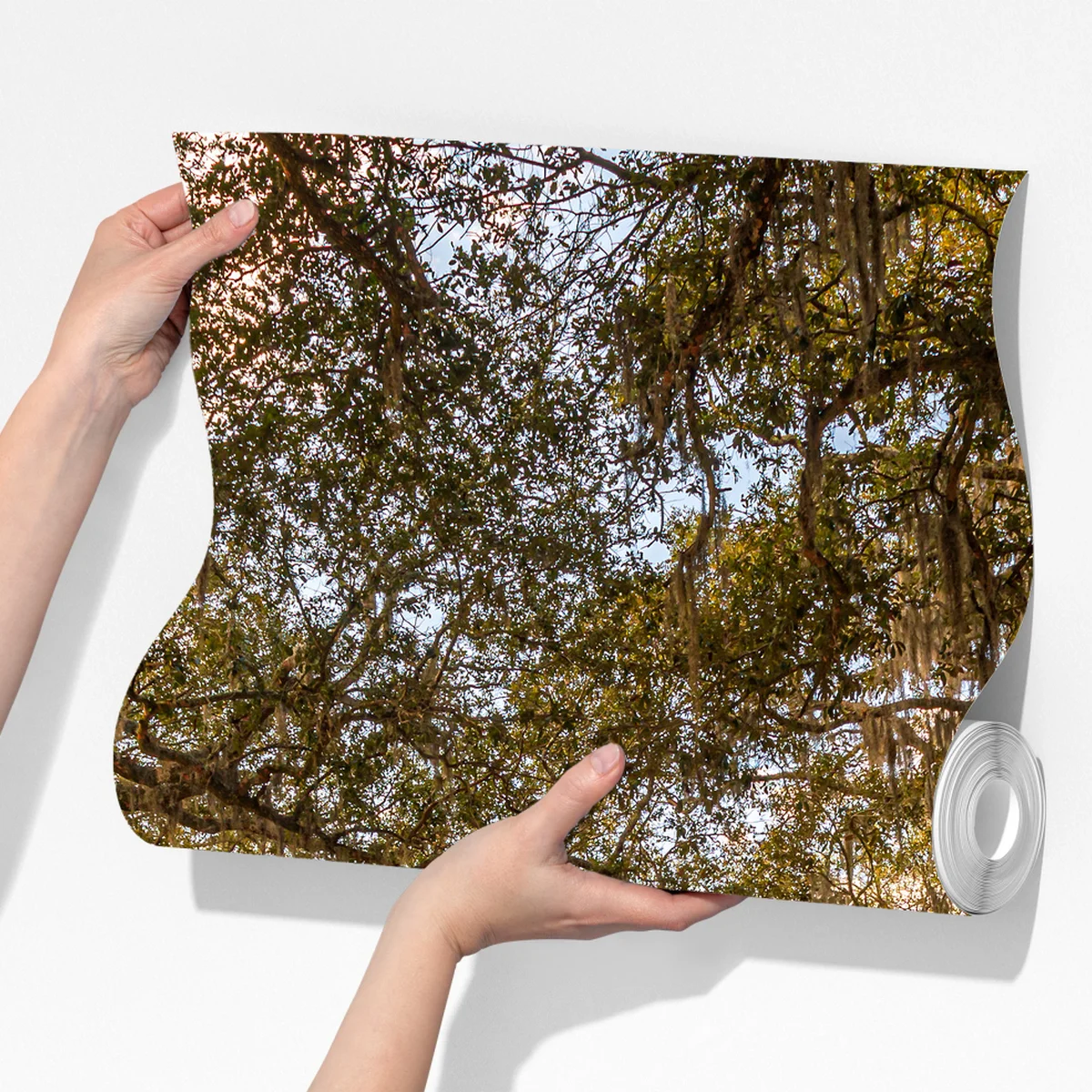 Fototapete sonnenbeschienene eichenallee bei Savannah Fototapete sonnenbeschienene eichenallee bei Savannah