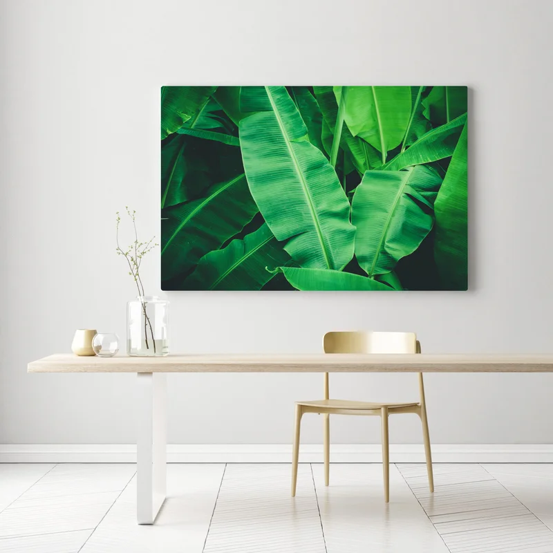 Leinwandbild tropische bananenblätter Leinwandbild tropische bananenblätter
