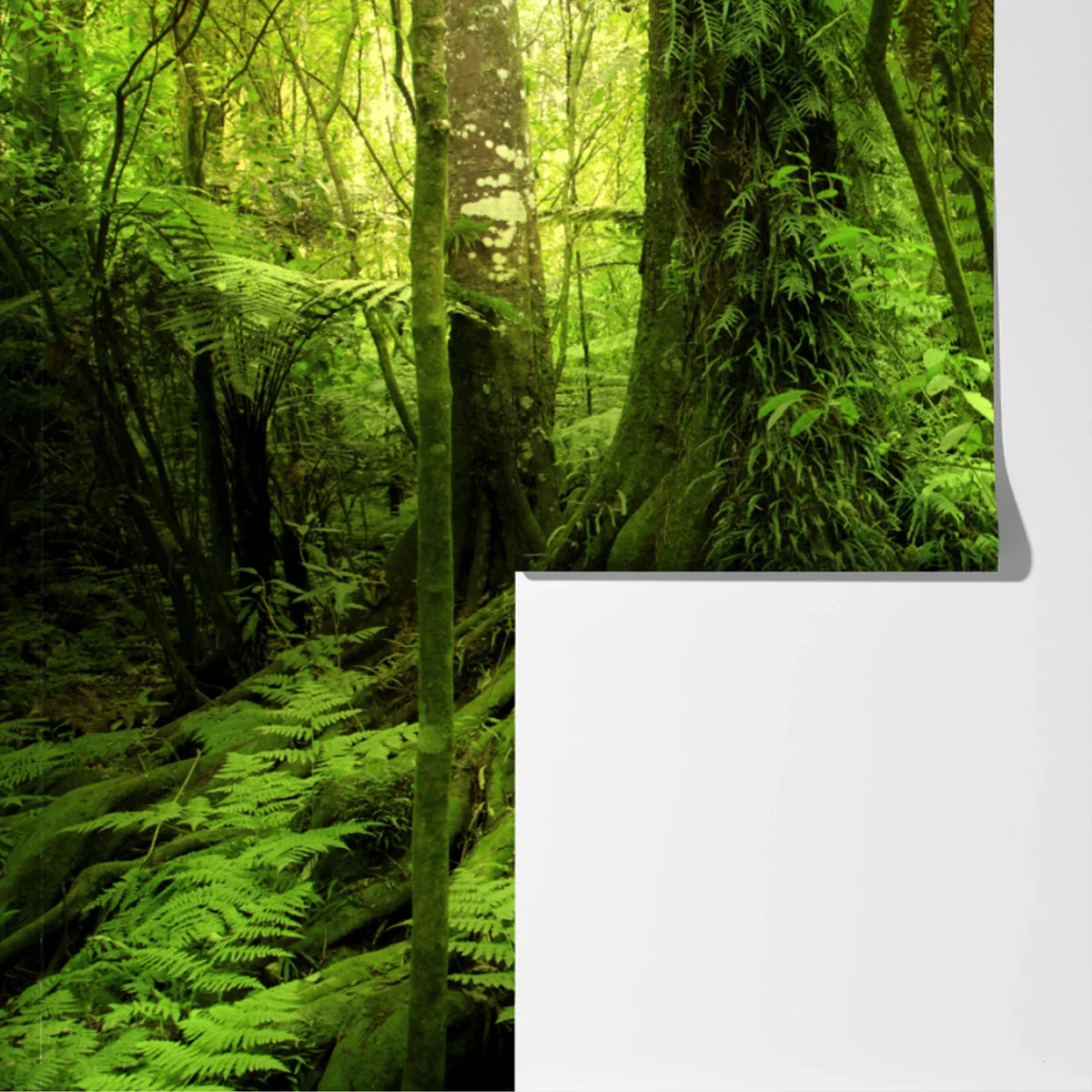 Fototapete üppiger tropischer dschungel Fototapete üppiger tropischer dschungel