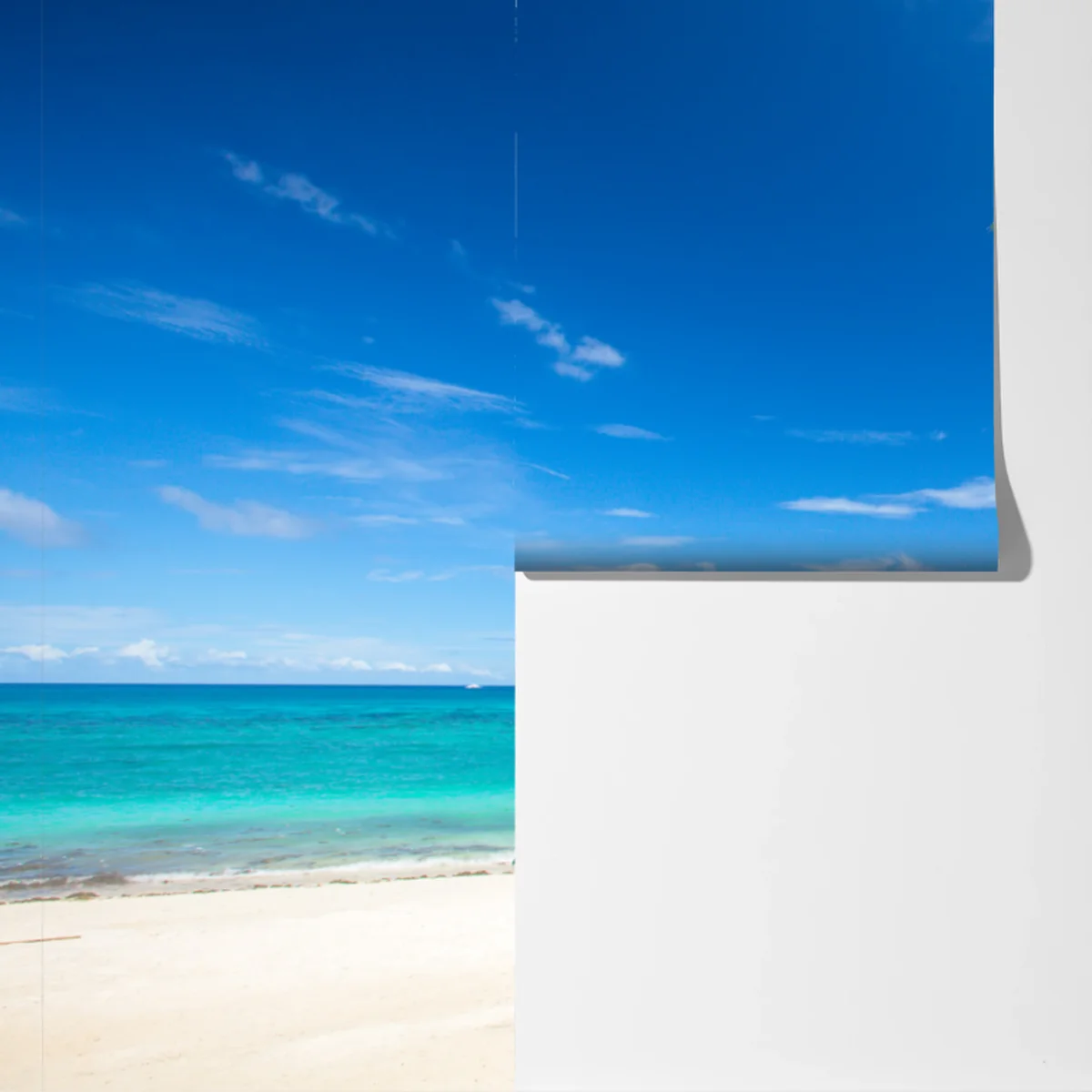 Fototapete tropische palmen an einem türkisfarbenen strand Fototapete tropische palmen an einem türkisfarbenen strand