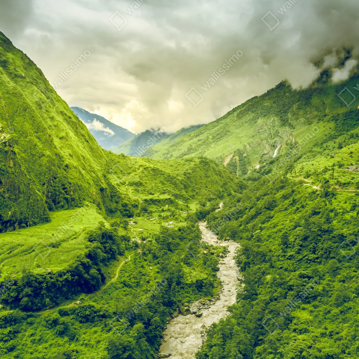 Leinwandbild üppiges grünes bergtal mit fluss Leinwandbild üppiges grünes bergtal mit fluss