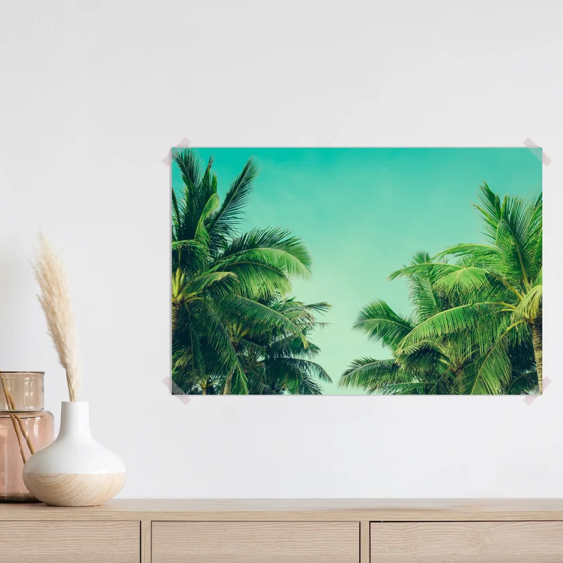 Poster tropisches palmendach unter türkisfarbenem himmel Poster tropisches palmendach unter türkisfarbenem himmel
