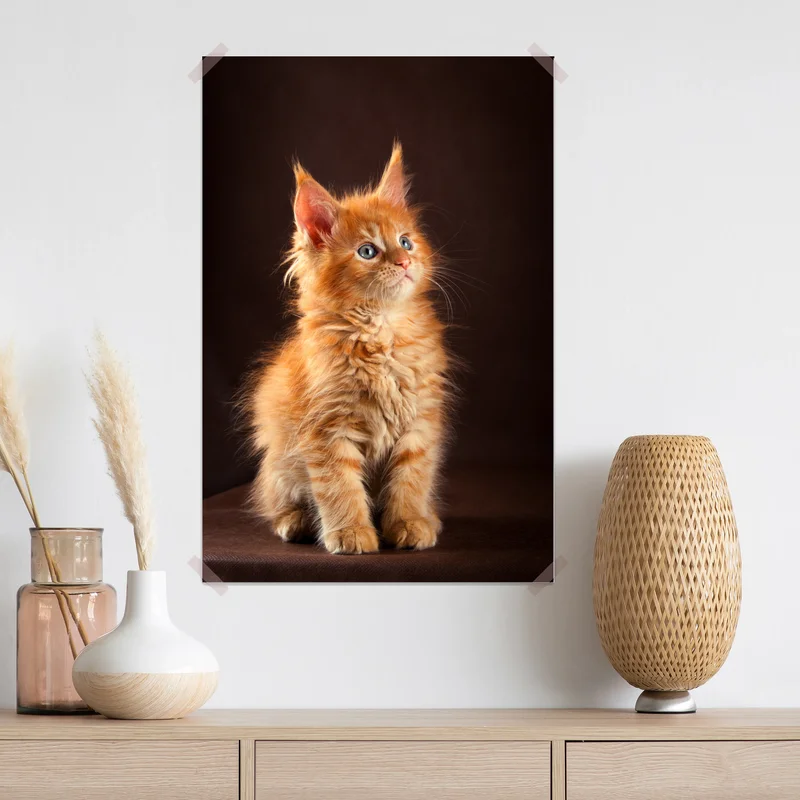 Poster niedliches rotes kätzchenportrait Poster niedliches rotes kätzchenportrait