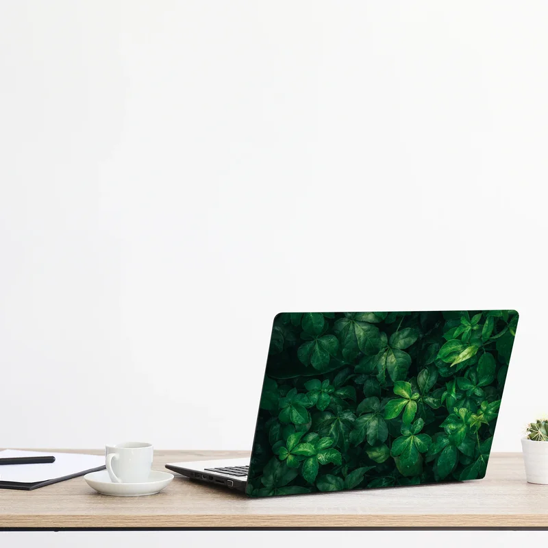 Naklejka na laptopa bujne tropikalne zielone liście