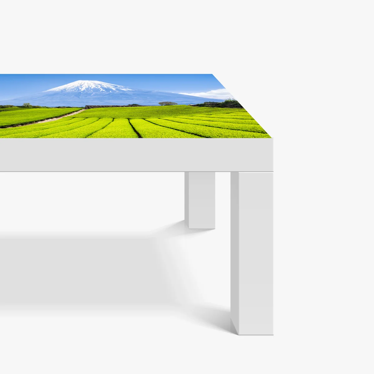 Tischaufkleber und Schreibtischaufkleber üppige teefelder am fuß von Mount Fuji Tischaufkleber und Schreibtischaufkleber üppige teefelder am fuß von Mount Fuji