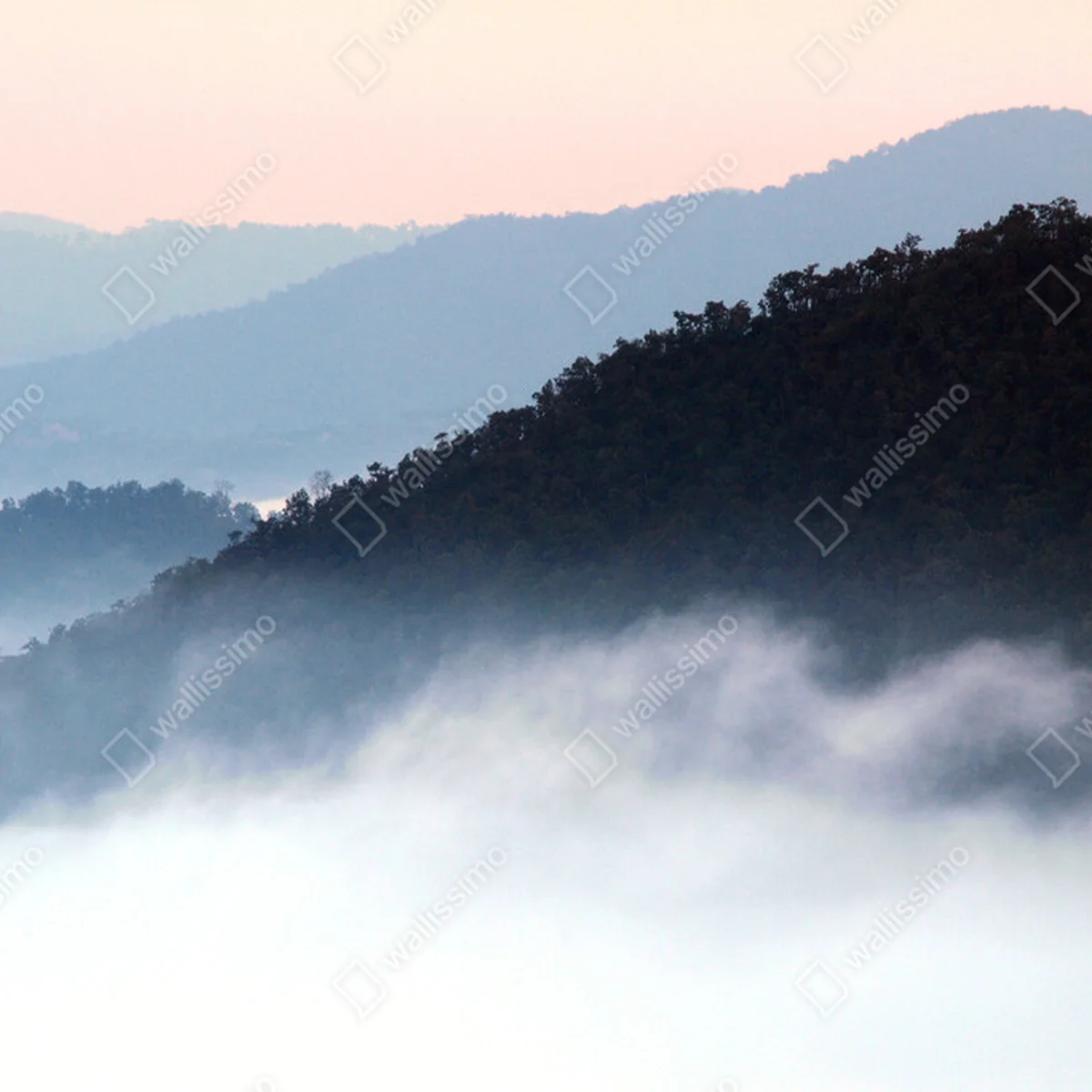 Poster Morgennebel bedeckt den Berg, Thailand • Poster bei Wallnifity® Poster Morgennebel bedeckt den Berg, Thailand • Poster bei Wallnifity®