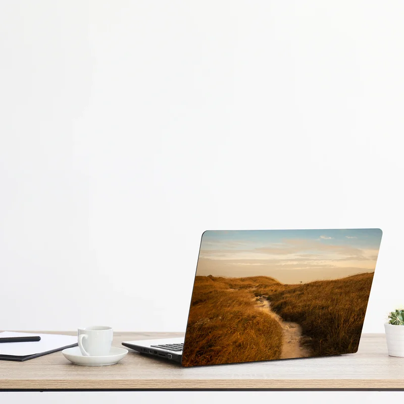 Laptop-Aufkleber sonnenbeschienener weg durch die dünen