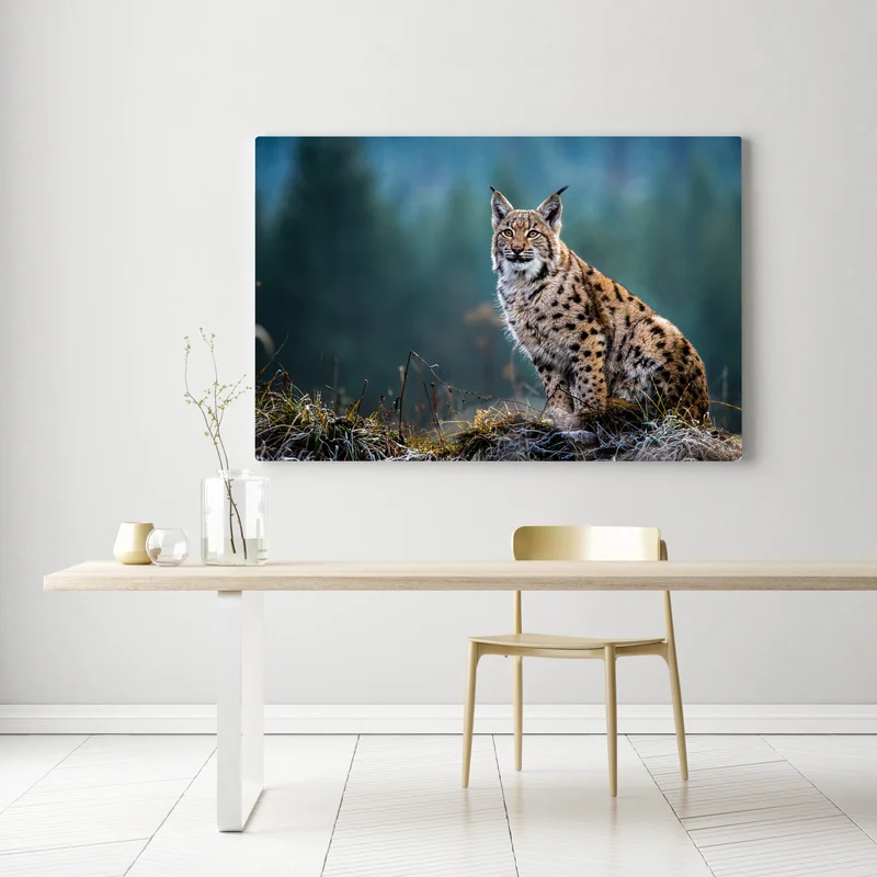 Leinwandbild majestätischer luchs in natürlichem habitat Leinwandbild majestätischer luchs in natürlichem habitat