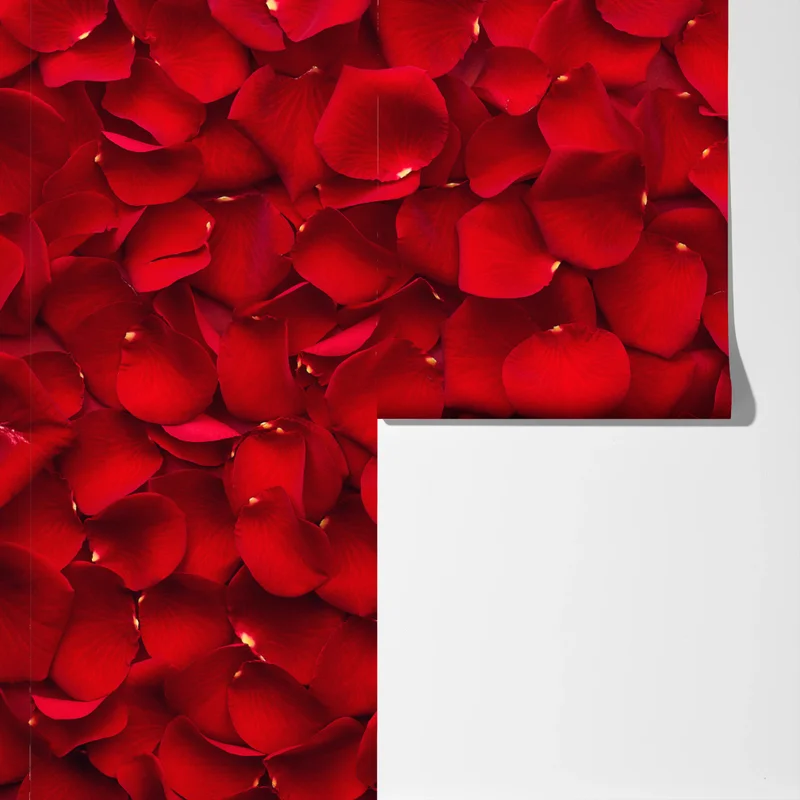 Fototapeta czerwone płatki róż tło Fototapeta czerwone płatki róż tło