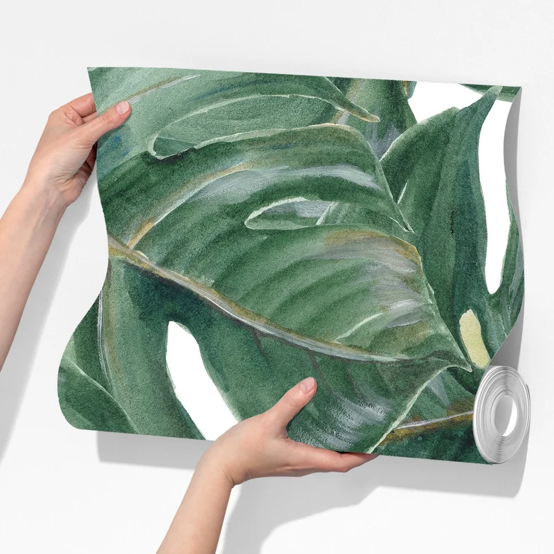 Fototapete monstera blätter in aquarell Fototapete monstera blätter in aquarell