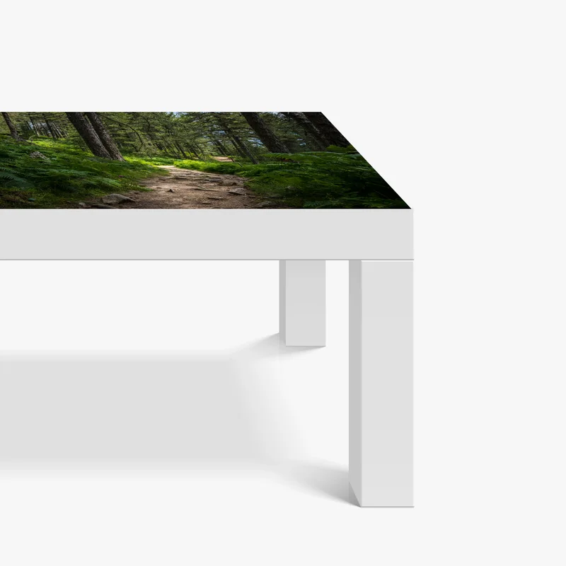 Tischaufkleber und Schreibtischaufkleber ruhiger waldpfad durch üppiges grün