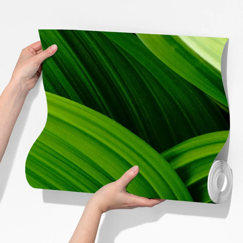 Fototapeta gęste zielone liście Fototapeta gęste zielone liście