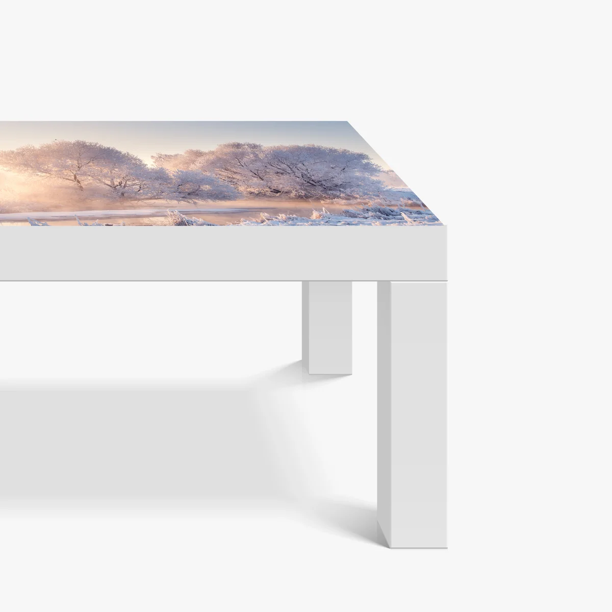 Tischaufkleber und Schreibtischaufkleber raureifbedeckte bäume bei sonnenaufgang Tischaufkleber und Schreibtischaufkleber raureifbedeckte bäume bei sonnenaufgang