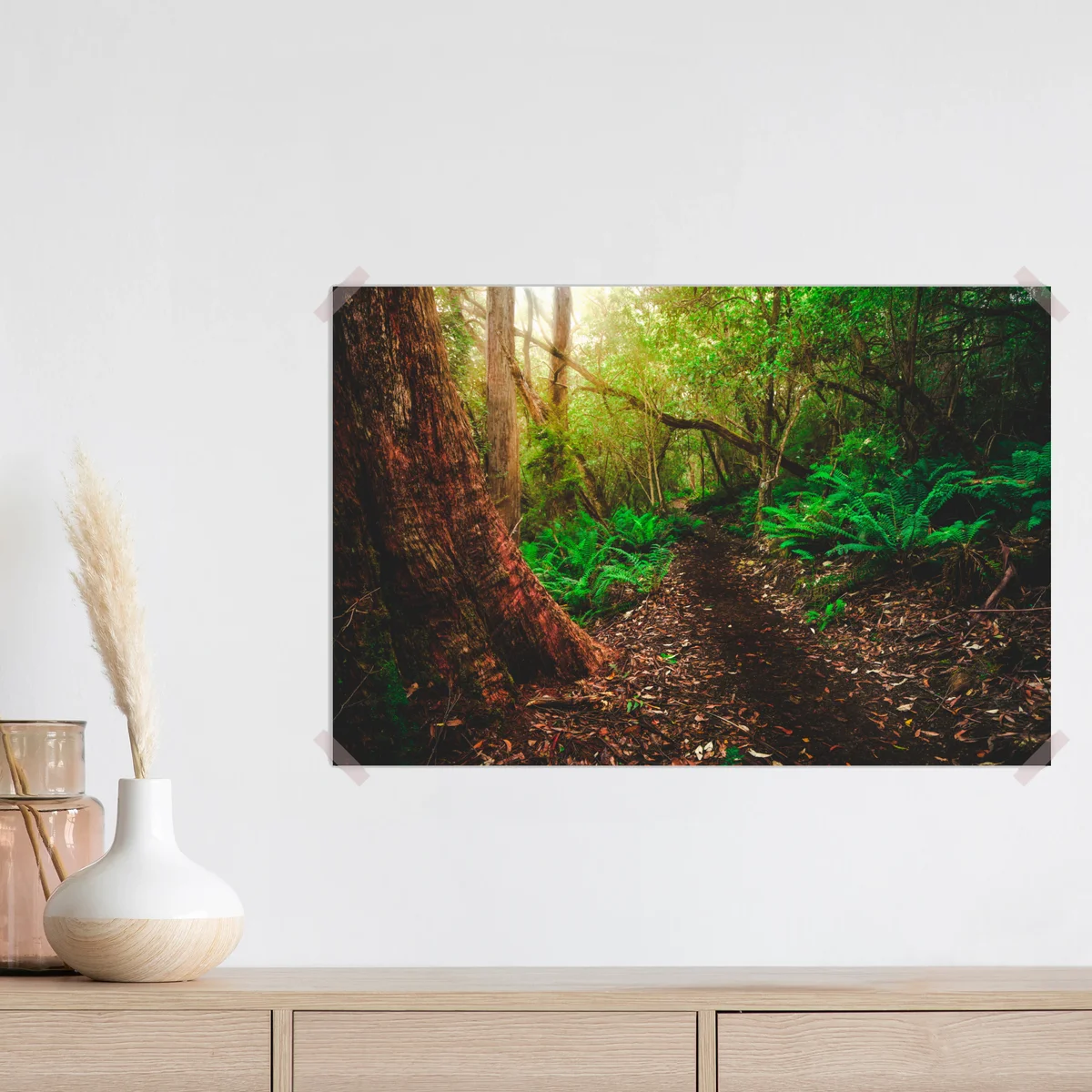 Poster üppiger dschungelpfad in Tasmanien • Poster bei Wallnifity® Poster üppiger dschungelpfad in Tasmanien • Poster bei Wallnifity®