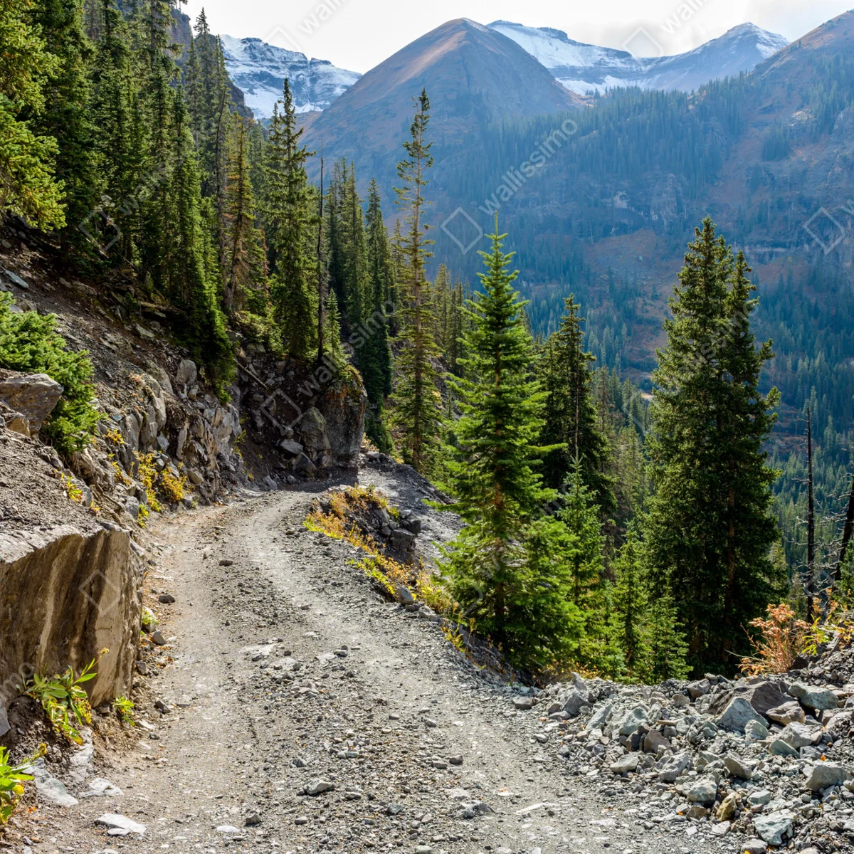 Fototapete bergpfad durch alpinen wald Fototapete bergpfad durch alpinen wald