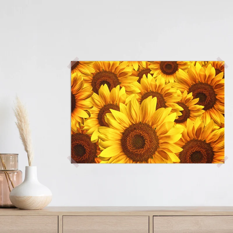 Poster goldene sonnenblumen Poster goldene sonnenblumen
