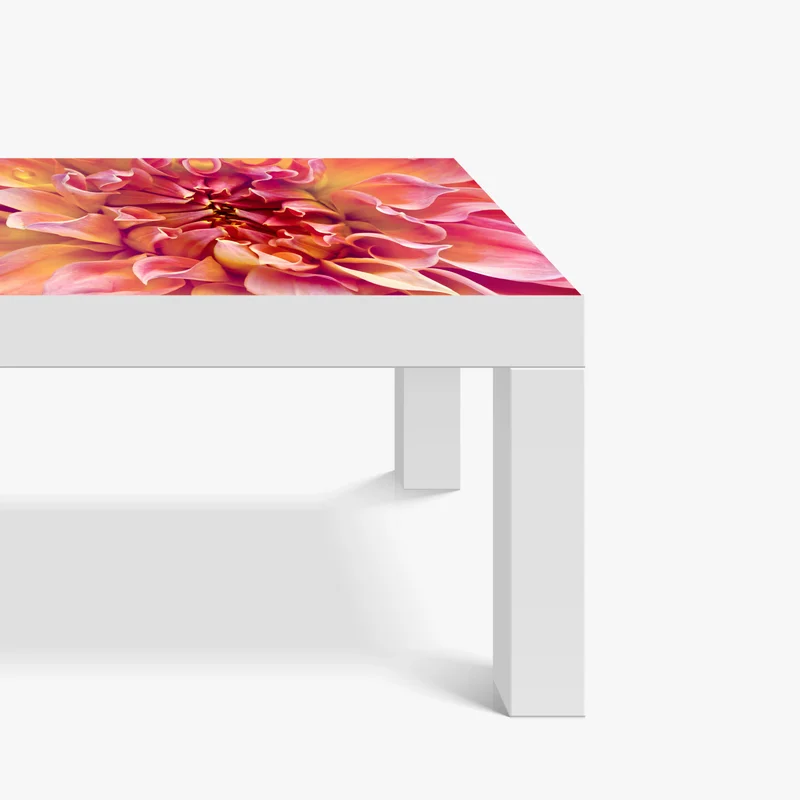 Tischaufkleber und Schreibtischaufkleber rosa dahlie nahaufnahme