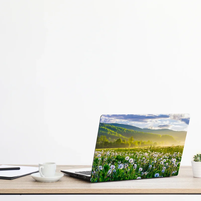 Naklejka na laptopa mglista łąka mleczy o wschodzie słońca