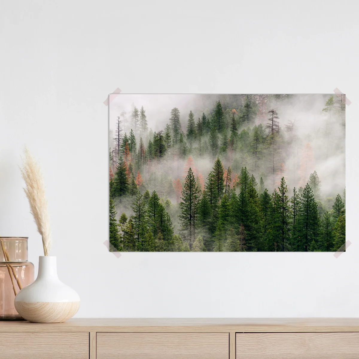 Poster nebliger kieferwald • Poster bei Wallnifity® Poster nebliger kieferwald • Poster bei Wallnifity®