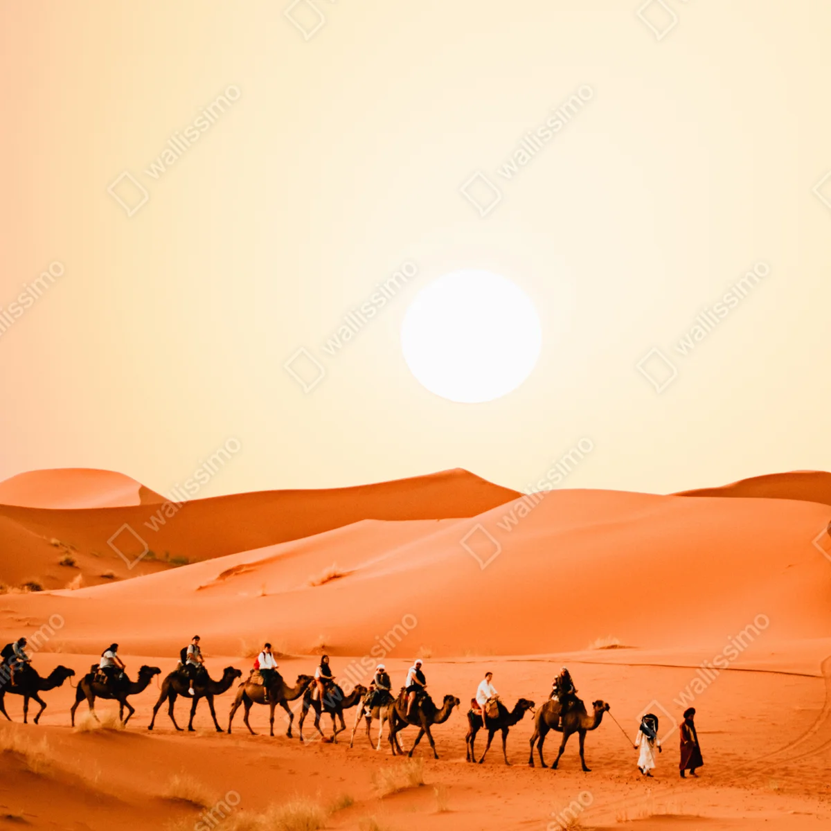 Tischaufkleber und Schreibtischaufkleber karawane von kamelen in der wüste bei sonnenuntergang Tischaufkleber und Schreibtischaufkleber karawane von kamelen in der wüste bei sonnenuntergang