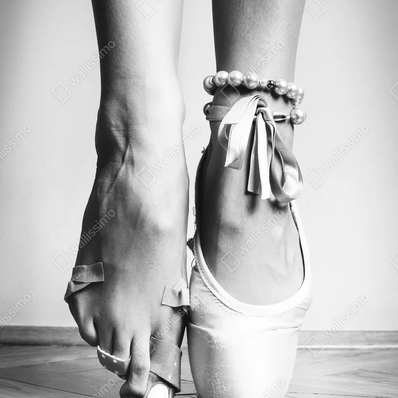 Poster ballettspitze in anmut Poster ballettspitze in anmut